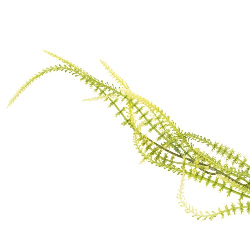 kohteita Vihreäharjaksinen hirssitekoinen kasvi elegantteihin roikkuviin koristeisiin, tyylikkäisiin huoneen yksityiskohtiin, 114 cm