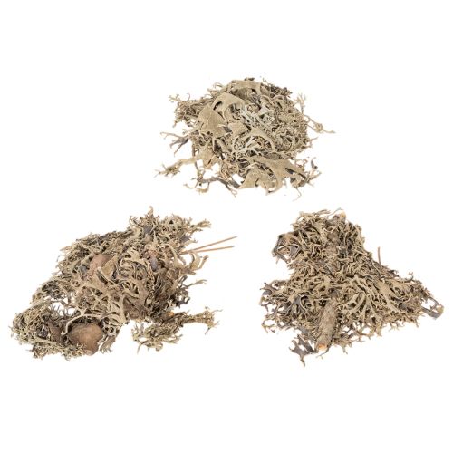 Koristeellinen sammal, harmaa sammal askarteluun, 500g | Floristik24.fi