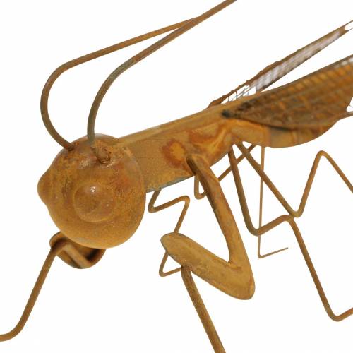 Floristik24 Puutarhasäleikkö ruostumatonta terästä 14,5cm