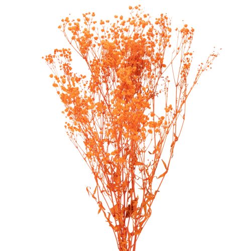 Vauvanhengitys kuivakukkakimppu Gypsophila 75cm 100g ostaa | Floristik24.fi