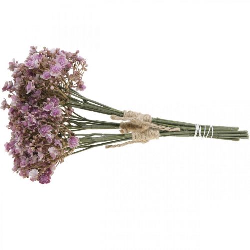 Floristik24 Gypsophila keinovioletti syksykoristeet 29,5cm 18kpl