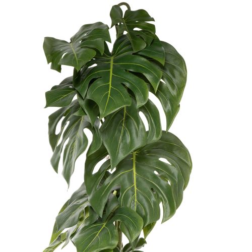 Keinotekoinen monstera suurilla lehdillä tyylikkäisiin yksityiskohtiin olohuoneessa 120 cm