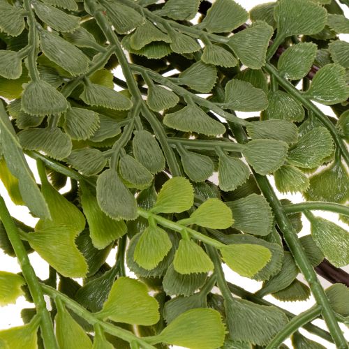Keinotekoinen saniaisen oksa, herkkä, maljakkoon, 80 cm | Floristik24.fi