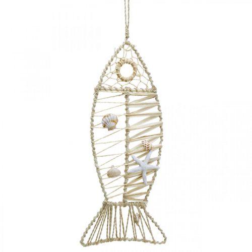 Floristik24 Merellinen kalakoriste pajunkoristeella ja simpukoilla, koristeellinen ripustuskala luonnon muodossa 38cm