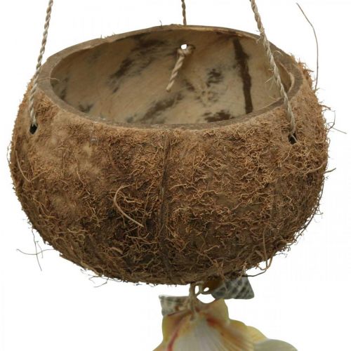 kohteita Kookoskulho kuorilla, luonnonkasvikulho, kookospähkinä ripustuskoriksi Ø13,5/11,5cm, 2 kpl setti