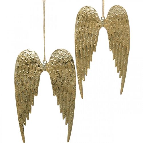 Floristik24 Angel Wing Deco riipus joulukultainen 14,5×9cm 4kpl