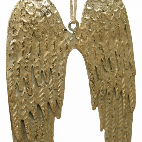 Floristik24 Angel Wing Deco riipus joulukultainen 14,5×9cm 4kpl