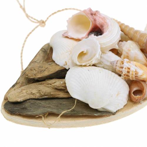 Floristik24 Merikoristeita ripustetuille kaloille kuoripuulla 18cm