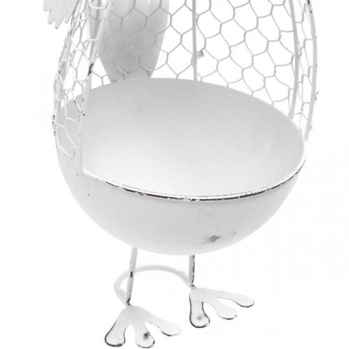Floristik24 Kana istutukseen, ristikkokori, pääsiäiskoristeet, maalaistyylinen valkoinen, hopea K26,5cm Ø11,5cm