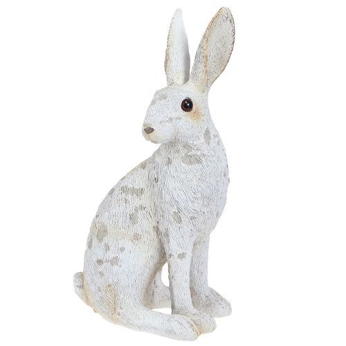 Floristik24 Koristeellinen pupu-istuinfiguuri Pääsiäispupu Shabby Chic 12×9×25cm