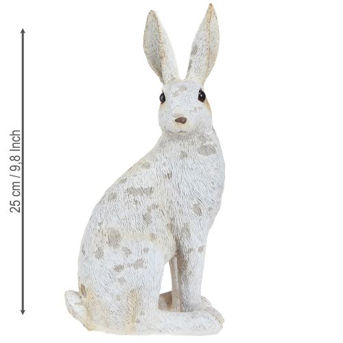 Floristik24 Koristeellinen pupu-istuinfiguuri Pääsiäispupu Shabby Chic 12×9×25cm