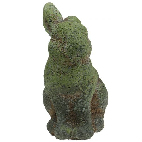 Floristik24 Puutarhahahmopupu sammaleinen 20cm x 13cm K25cm