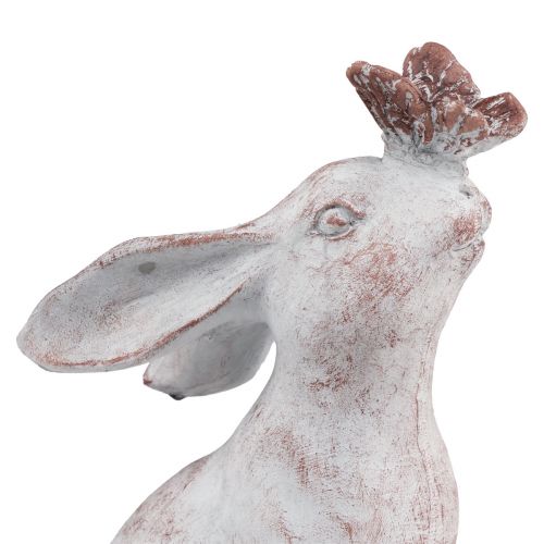 Floristik24 Kanin istuva tekokivi perhoskoristelu 14×10,5×26cm
