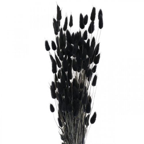 Floristik24 Kaninhäntäruoho Lagurus kuivattu musta 60cm 50g