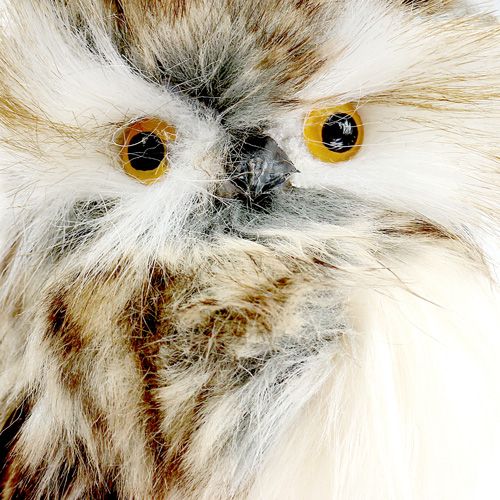 Floristik24 Syksyinen pöllö 13cm L50cm