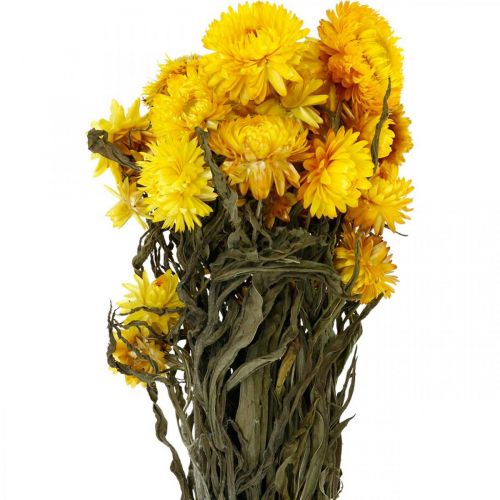 kohteita Mansikukka keltainen kuivattu kukka koristeellinen nippu 75g