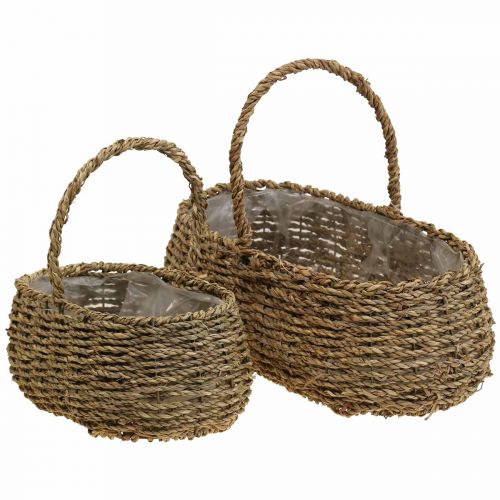 Kasvikori kahvalla korikori kukkakori L23/35cm 2 kpl sarja
