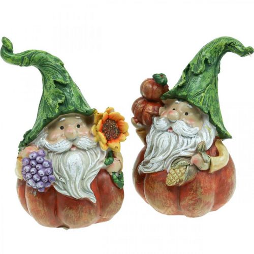 Syksytonttu kurpitsakoristelu gnomefiguuri lajitelma H11,5cm 2kpl