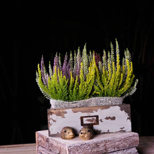 Floristik24 Istutin Puinen laatikko Antiikki Harmaa 27cm x 13cm