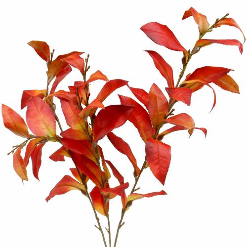 Floristik24 Syksyn oksa 72cm