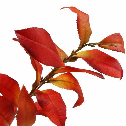 Floristik24 Syksyn oksa 72cm