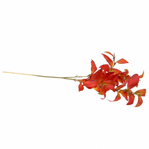 Floristik24 Syksyn oksa 72cm