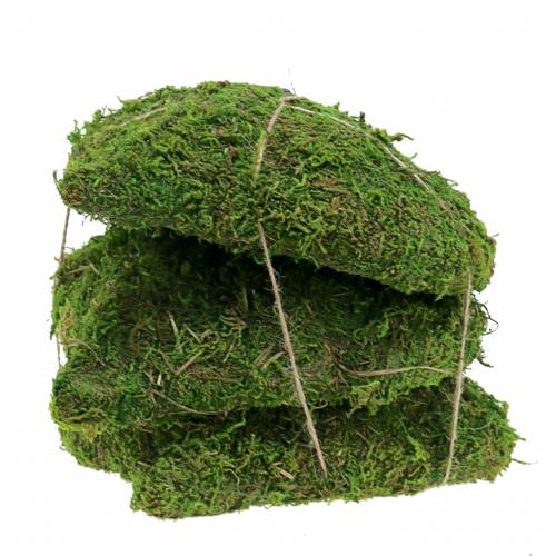 Floristik24 Sammalen sydän vihreä 20cm 3kpl