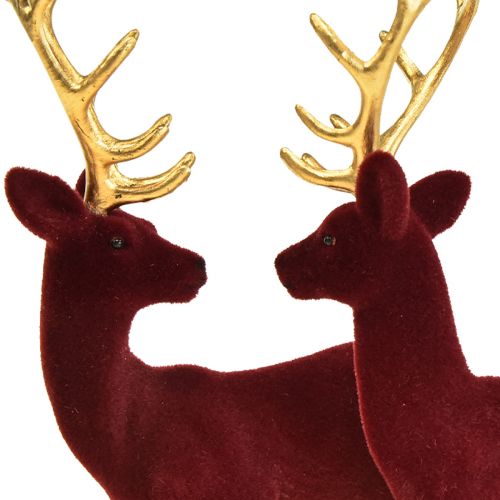 Floristik24 Deer Deco Poro Bordeaux Gold Calf Flocked 20 cm 2 kpl setti
