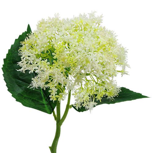 Floristik24 Vanhin valkoinen 42cm