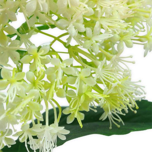 Floristik24 Vanhin valkoinen 42cm