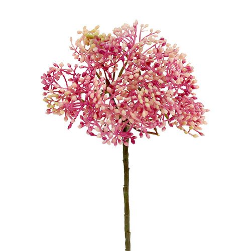 Floristik24 Elderflower-oksa vaaleanpunainen-valkoinen L 55cm 4kpl