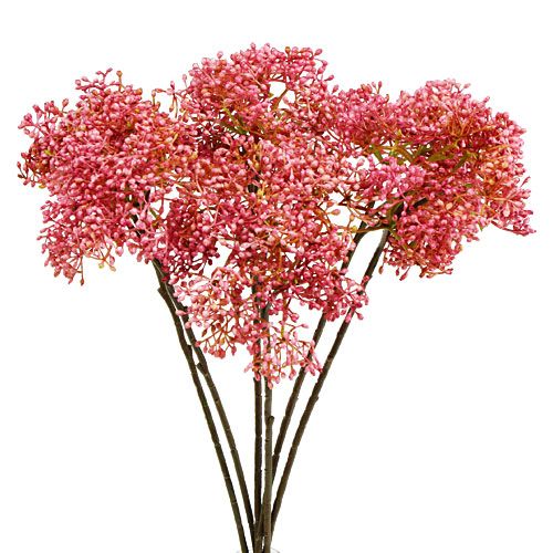 Pihlajanoksa vaaleanpunainen 54,5cm 4kpl