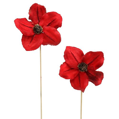 Floristik24 Puinen kukka tulpana punainen Ø9cm - 12cm L45cm 15 kpl