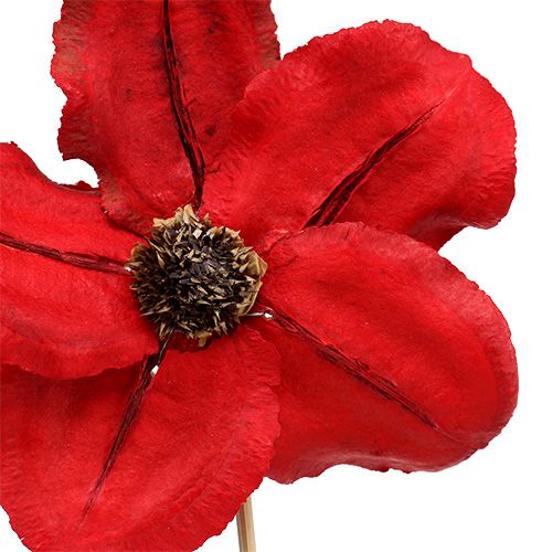 kohteita Puinen kukka tulpana punainen Ø9cm - 12cm L45cm 15 kpl