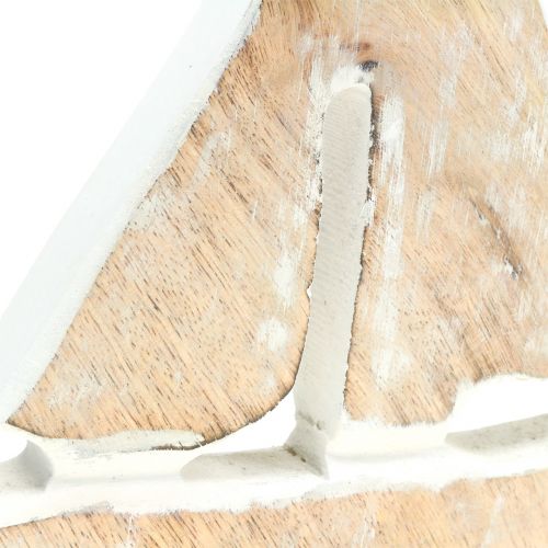 Floristik24 Dekovene Mangopuu Luonnollinen, valkoinen 21cm x 18cm