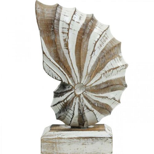 Floristik24 Maritime deco puinen simpukankuorijalusta luonto, valkoinen K28cm