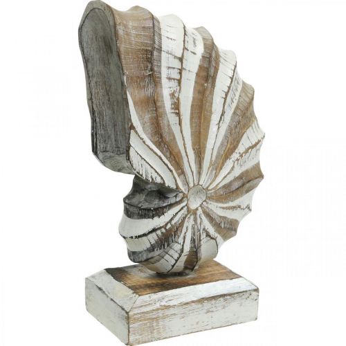 Maritime deco puinen simpukankuorijalusta luonto, valkoinen K28cm