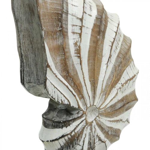 Floristik24 Maritime deco puinen simpukankuorijalusta luonto, valkoinen K28cm