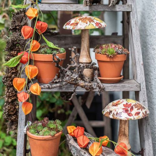 Floristik24 Puiset sienen deco syyslehdet valkoiset, värikäs syyskoristeet Ø13cm K19cm