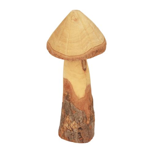 kohteita Puiset sienet koristeet sienet puukoristeet luonnollinen pöytäkoristeet syksy Ø11cm H28cm