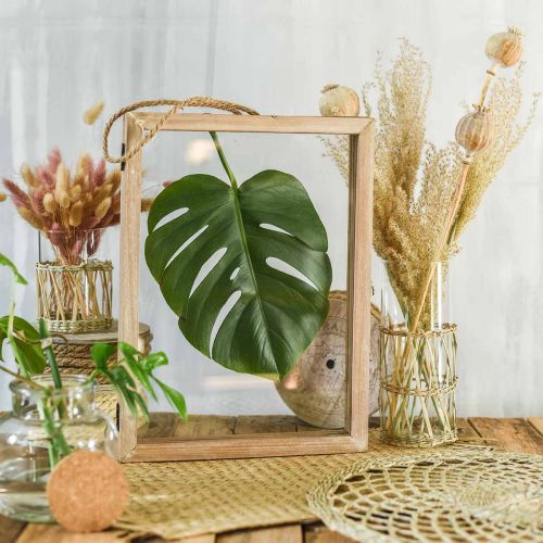 Floristik24 Puurunko täyttöön, tee-se-itse, herbaarium, seinäkoriste ripustettavaksi 38 × 28cm