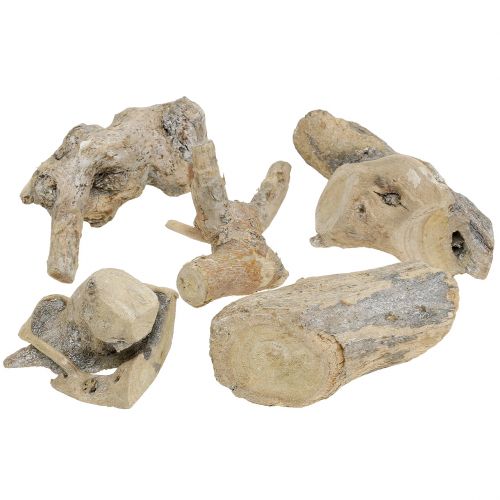 Floristik24 Wood Root Harmaa pesty 500g