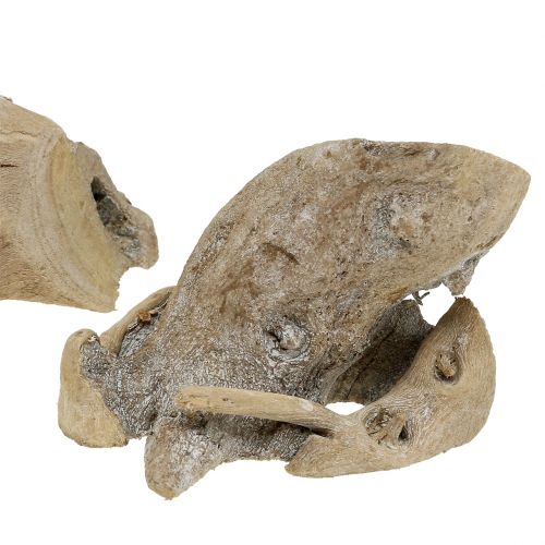 Floristik24 Wood Root Harmaa pesty 500g