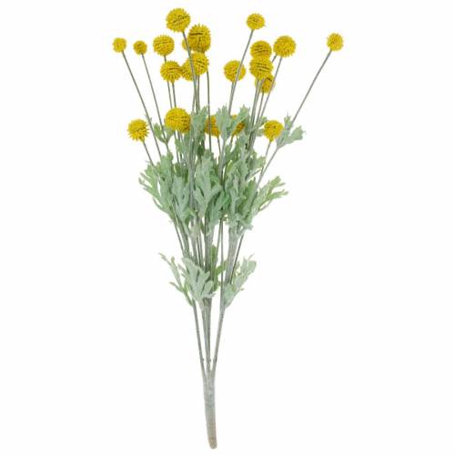Floristik24 Drumstick Keltaiset Keinotekoiset Craspedia Silkkikukat