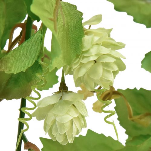 Floristik24 Lehtiseppele humala seppele vihreä keinotekoinen L180cm