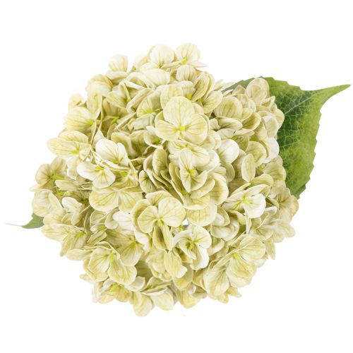 Keinotekoinen hortensiakukka pitkällä varrella ja lehdillä, 60 cm | Floristik24.fi