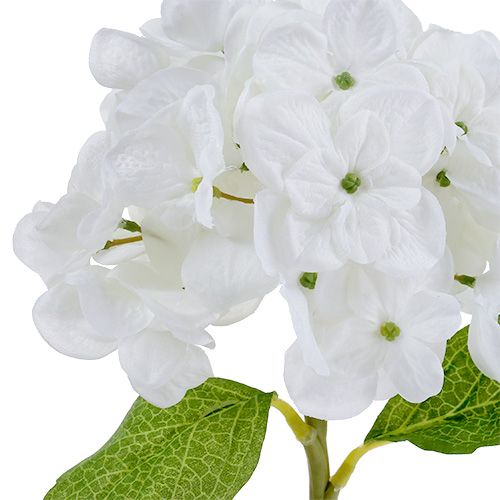 Floristik24 Hortensia 35cm Valkoinen