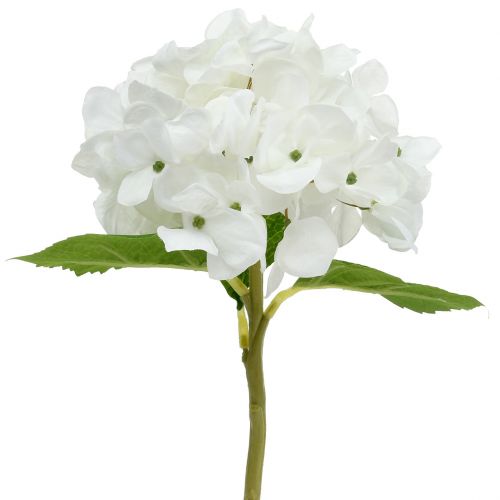 Floristik24 Koristeellinen hortensia valkoinen 36cm
