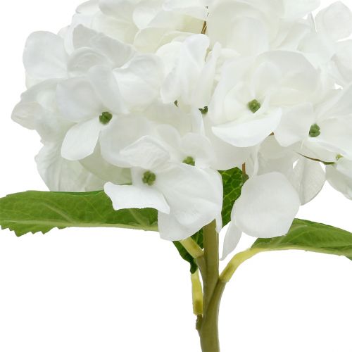 kohteita Koristeellinen hortensia valkoinen 36cm