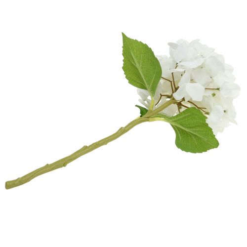Floristik24 Koristeellinen hortensia valkoinen 36cm